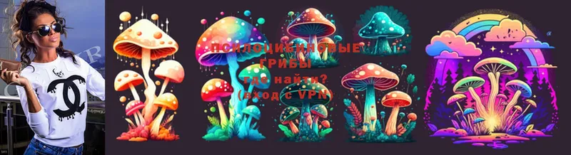 Псилоцибиновые грибы MAGIC MUSHROOMS  Кизляр 